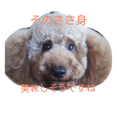 レインくん(夏ver)