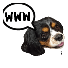 ドッグリフレオッジ 5