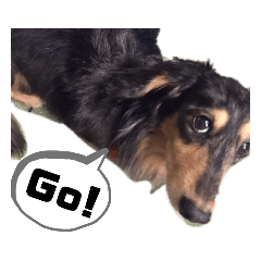 南の島のぽんた2