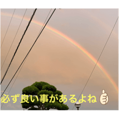 我が家の心のつぶやき