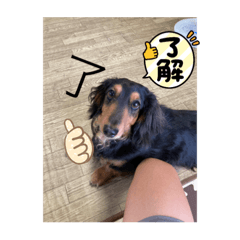 ジムしか勝たん！ スタンプ