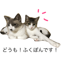 ジェシカとミー福ぽん 第1弾