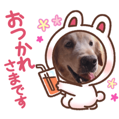 我が家のれおスタンプ