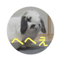 ふくろうとうさぎ2..
