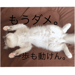 ノアちゃんスタンプ(心の声バージョン)