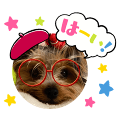 うちのぴのちゃん