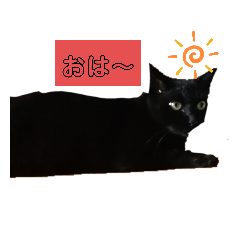 黒猫ボーズおきらくごくらく❶