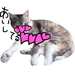 もしも猫がしゃべったら…