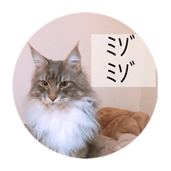 飼い主自己満スタンプ