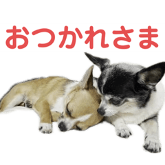 ちょことくっきーのスタンプ