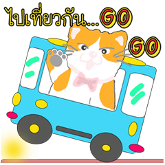 強烈な猫:feisty cat