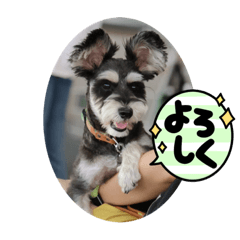 マナオラの日常