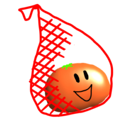 ネット入りみかん