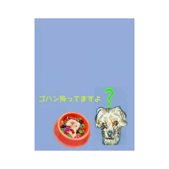 ワンちゃん挨拶！ゴハンと共に。