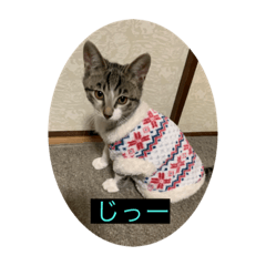 レオちゃんとフーガくん