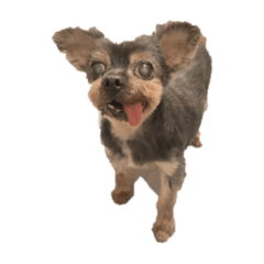 Mermaid_20220510195828