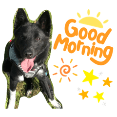 三八七ten〜ペットケアサポートクッキー〜