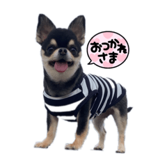 萌愛花スタンプ。