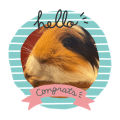 モルのモカスタンプ