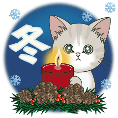 とびだす❤子猫のぽんにゃん•日常❤冬編