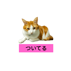 天国言葉01　heaven words 01