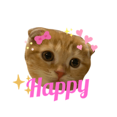 ひなココスタンプ