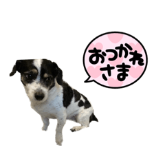 ジュンの日常スタンプです