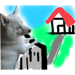 コーギーと愛犬①