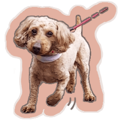 ナッツとぽん太　フォトver