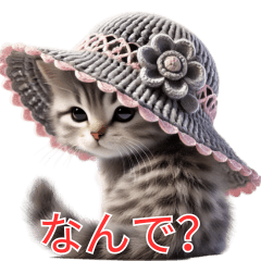 猫、子猫、小さな猫、とてもかわいい 4