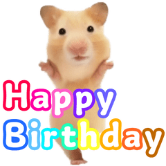 踊る！キンクマハムスター