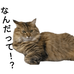 猫のスタンプ第2弾