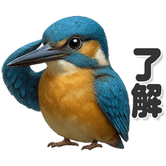 毎日使える！カワセミ