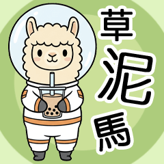 Alpaca & Bubble Tea