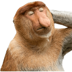 BIG! テングザル　実写