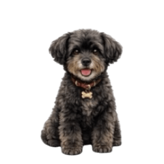 Moco the Shop Dog : Polite Stickers