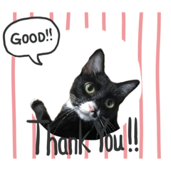 いたずらっ子くーちゃん 2