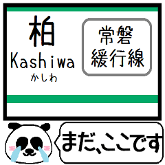 常磐緩行線(綾瀬-取手) 今まだこの駅です！