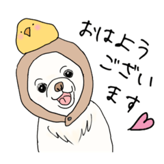 チワワのPちゃん使えるスタンプ
