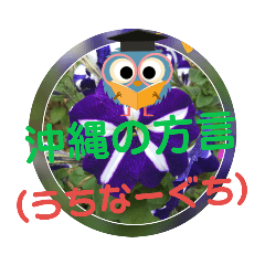 うちなーぐち君