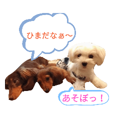 いやされスタンプ