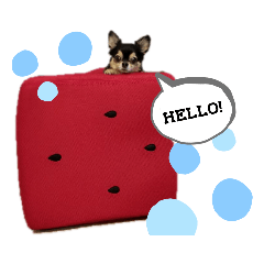 ALAN&#39;S すたんぷ♡