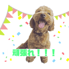 日常生活によく使うスタンプ