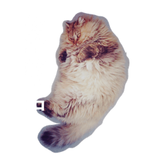 ぽちゃねこA