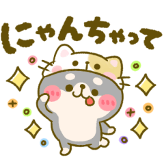 豆柴日和〜くろまめ♡だじゃれ〜