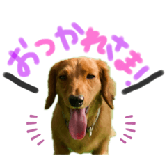 楽太郎と幸次郎2