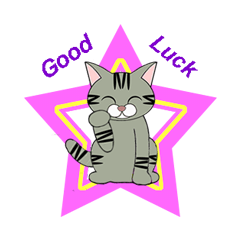 猫ですが何か？