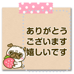 パグちゃん♡メッセージ