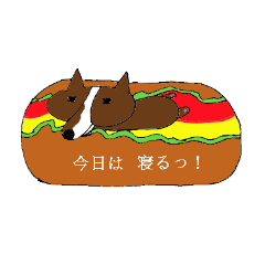 コーギー大好き