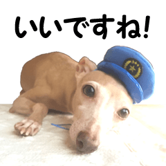 アン＆アズのアン(壹)